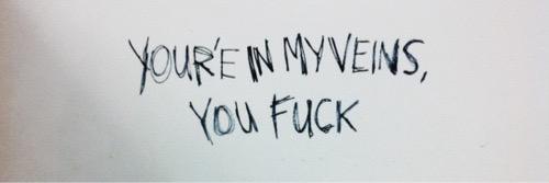 Kylie banner