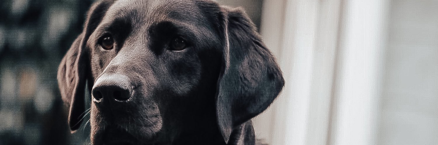 Charlie banner