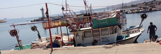 Savaş Avcı banner