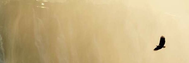 cmakunike's profile banner image