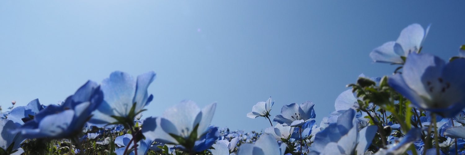poohtty2324's profile banner image