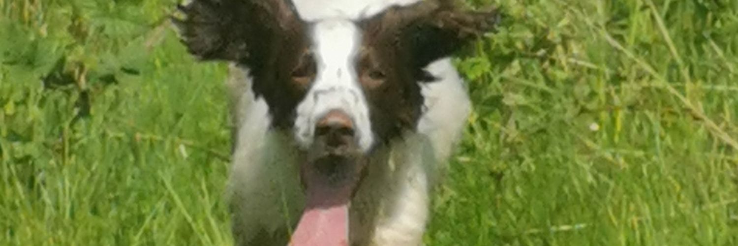 JaneHanshaw's profile banner image