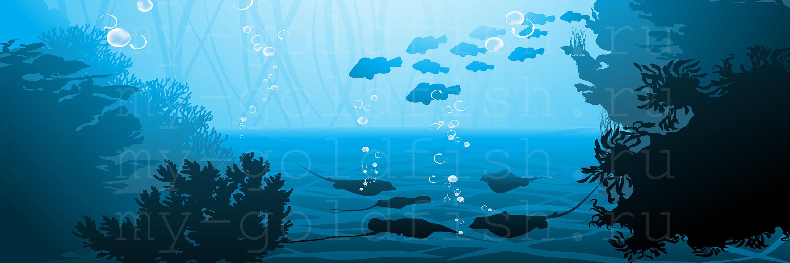 myGoldFishShop's profile banner image