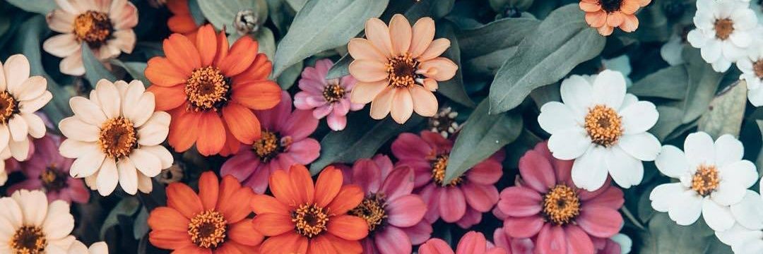 AyuningtyasMP's profile banner image