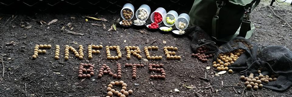 FinForcebaits's profile banner image