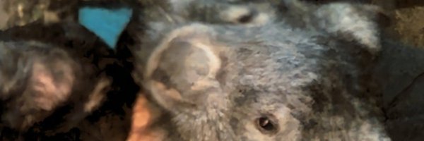 tameike1011 Profile Banner