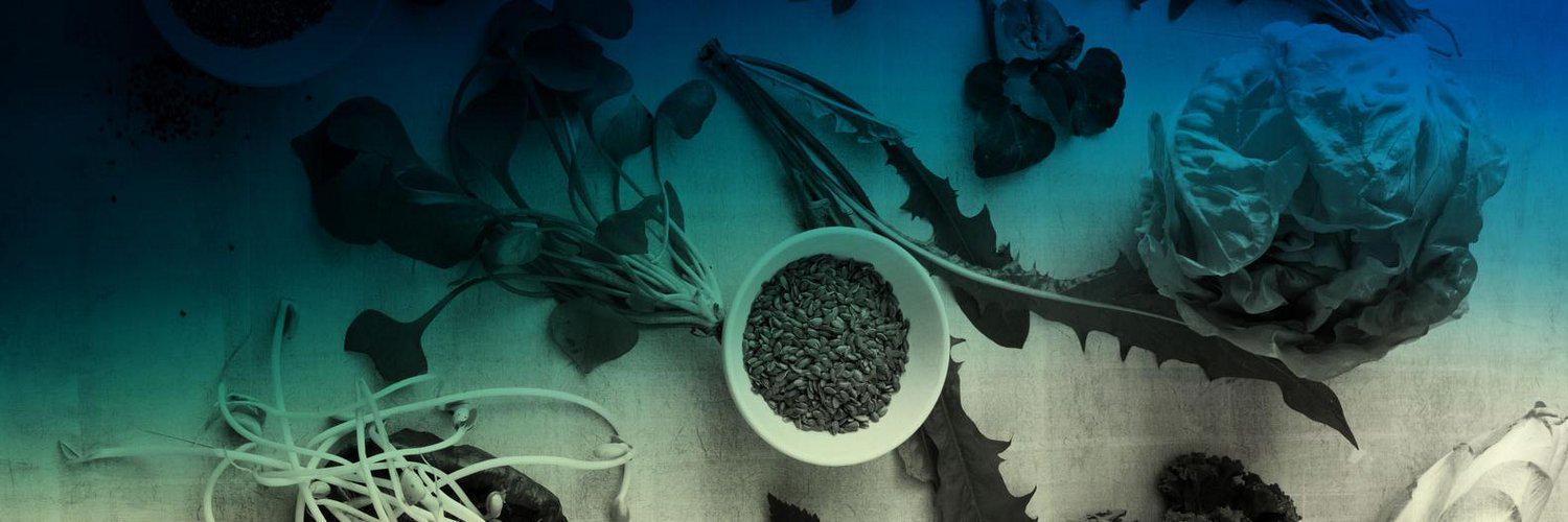 ObushevaMs's profile banner image