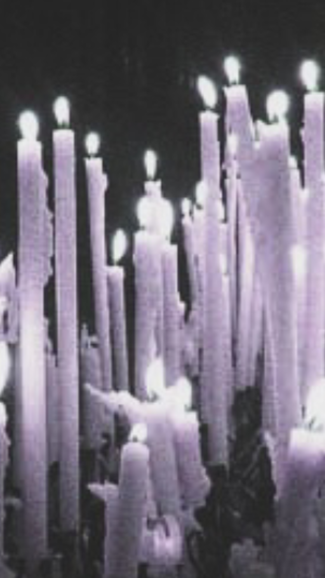 tasticirwin's profile banner image