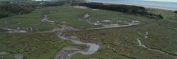 DrJonathanDale Profile Banner