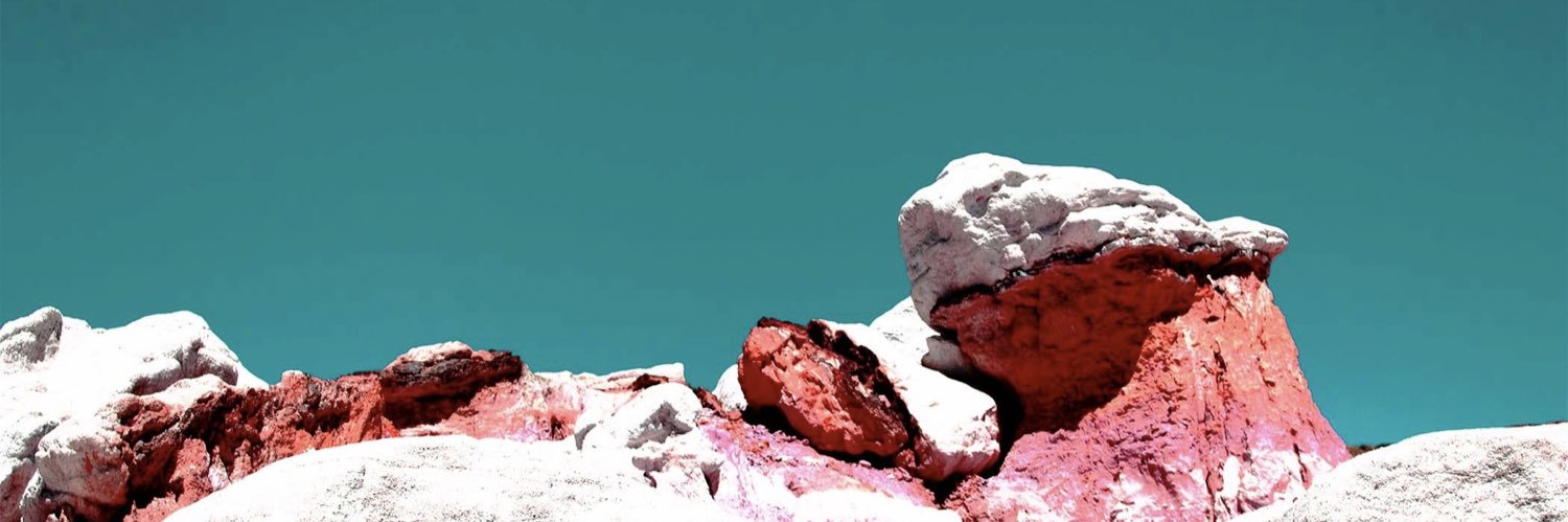 buccy (DODGERS FAN) banner