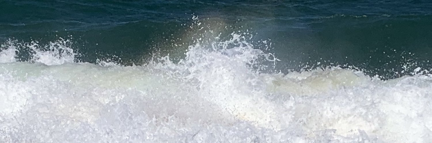 susan loftus (she/her) banner