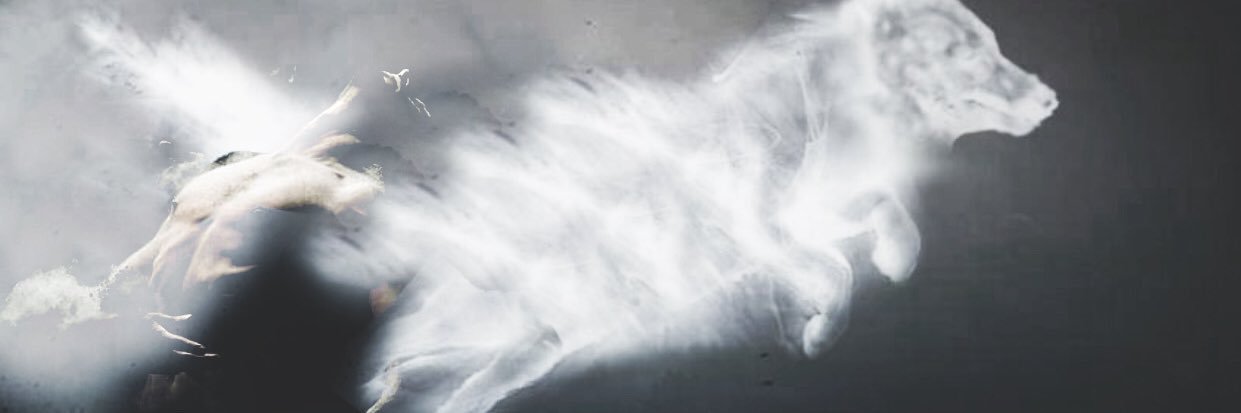 EvolvedLycan's profile banner image