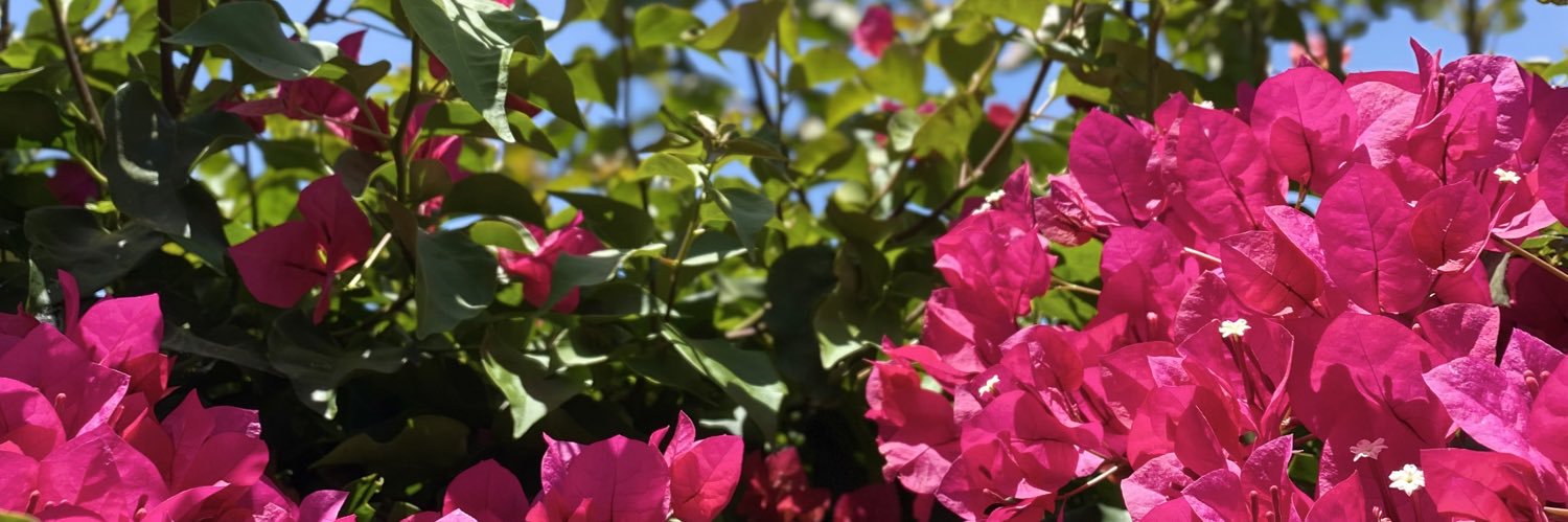 matteacb's profile banner image
