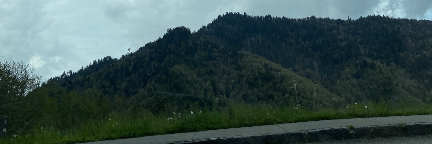 theadamlowman's profile banner image