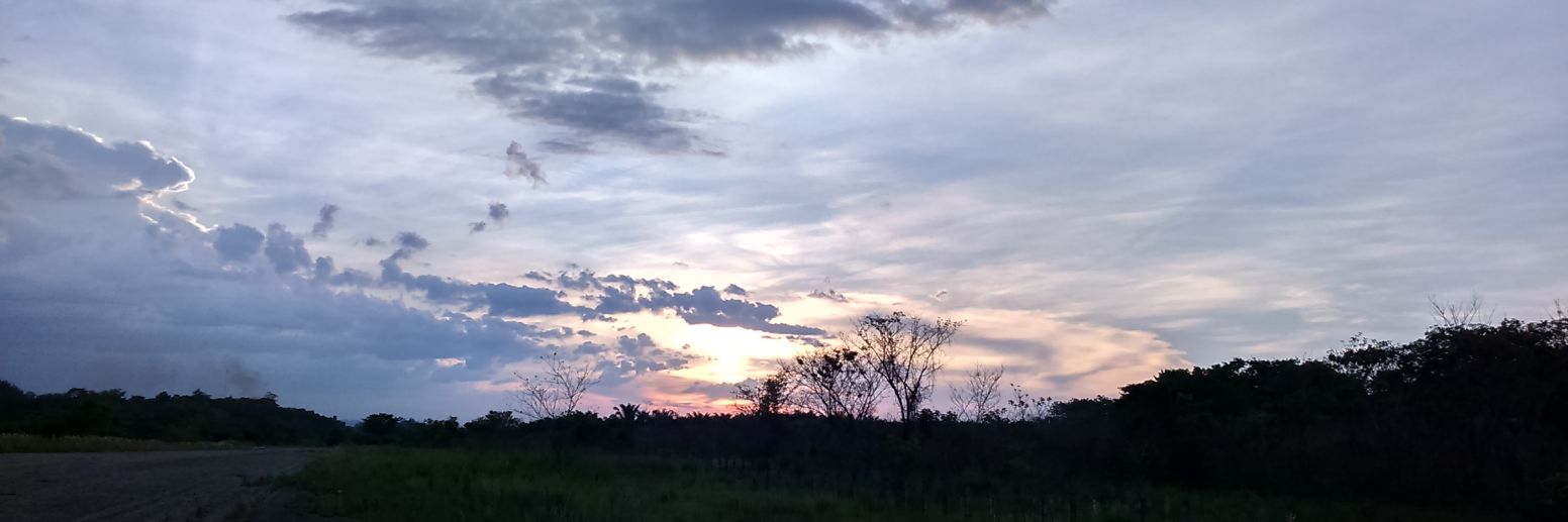 Cruiz1993's profile banner image