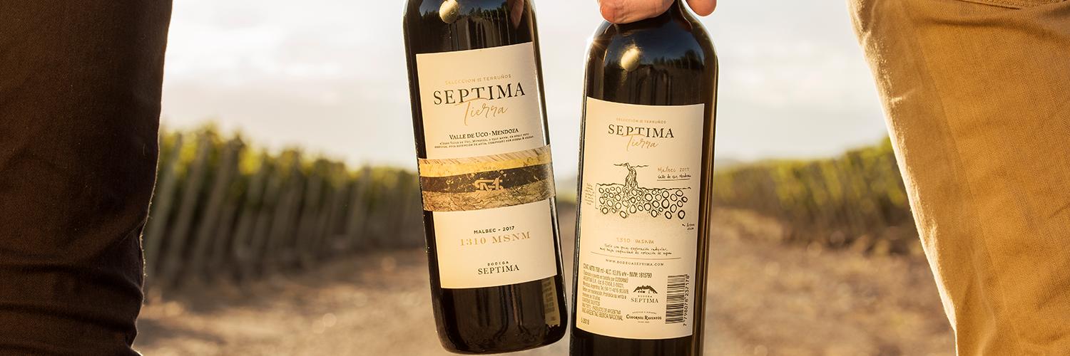 BODEGA SEPTIMA banner