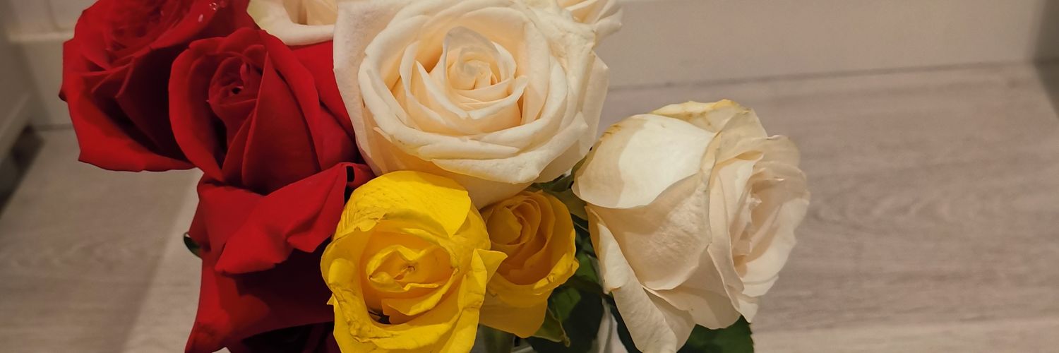 RaquelAlemany's profile banner image