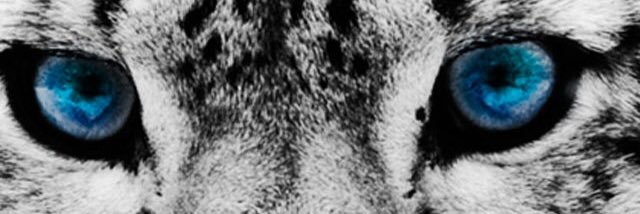 isaac_yuichi's profile banner image