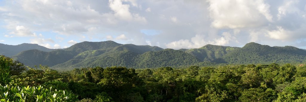 Conservation_G's profile banner image