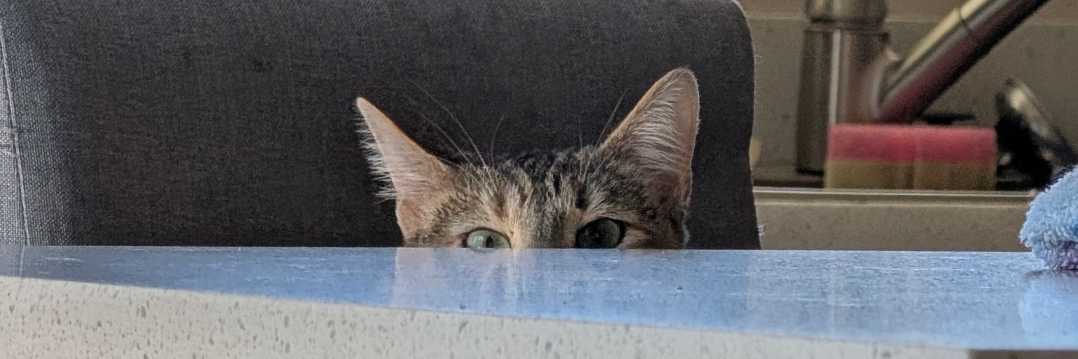 Izzyher64's profile banner image