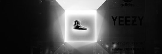 specieStore's profile banner image