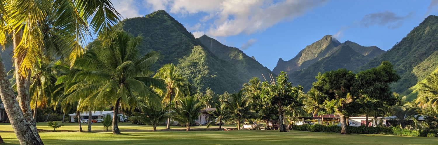 Alain Barraqué banner