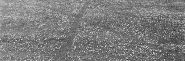 kasperplougmand Profile Banner