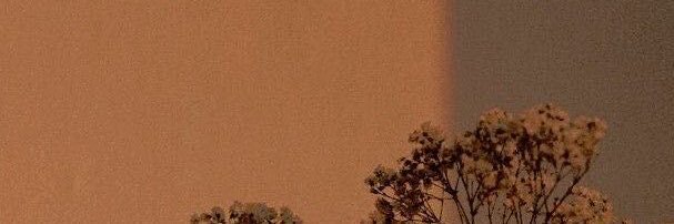 Miligonzzz's profile banner image