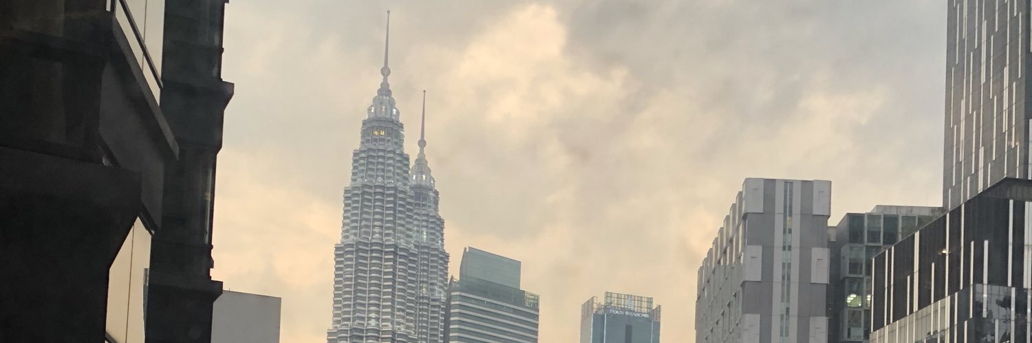 annsipal's profile banner image