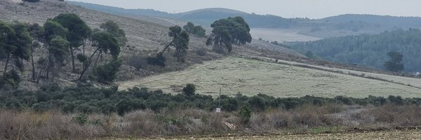 carmitush Profile Banner