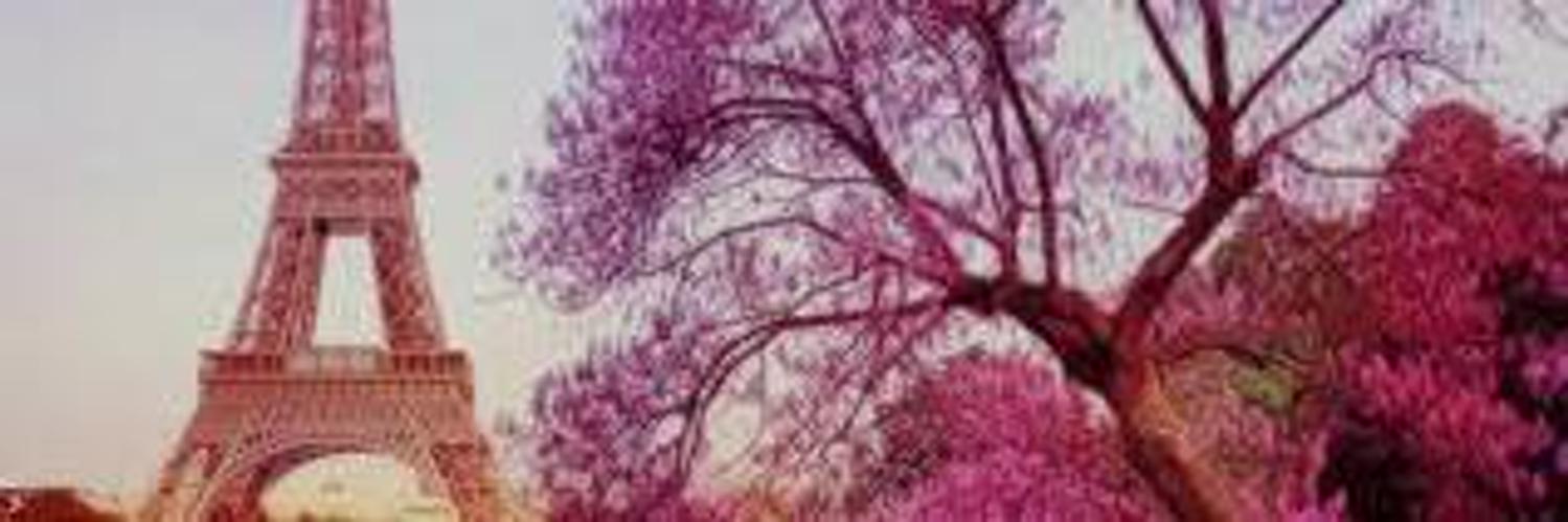 baldygin98's profile banner image