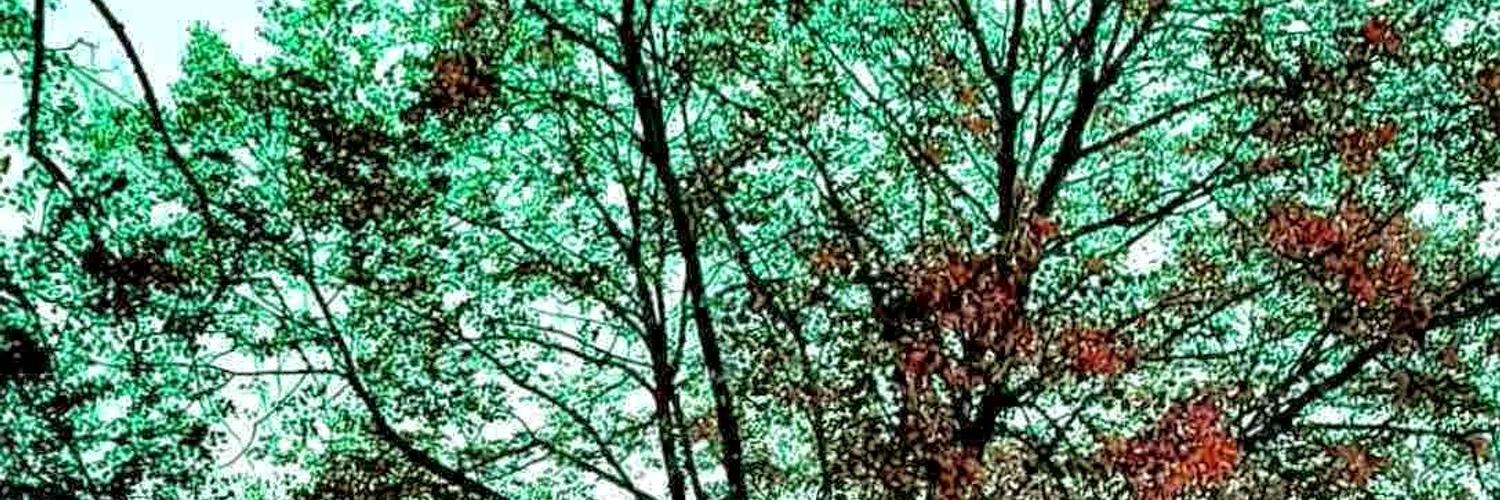 trushchakov93's profile banner image