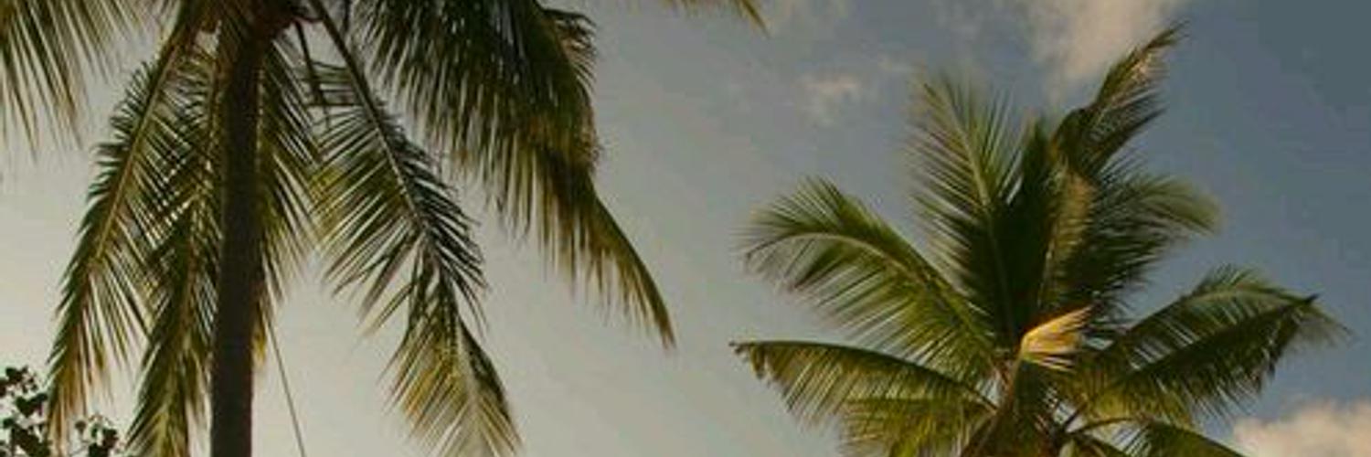 84Merkul's profile banner image
