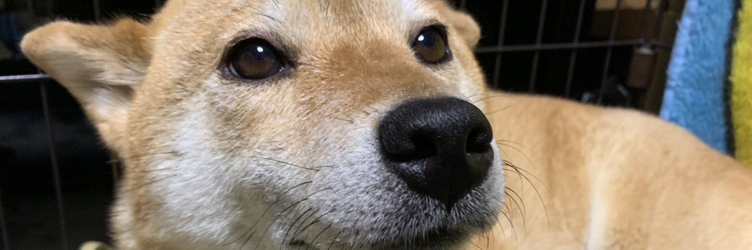 take_h7's profile banner image