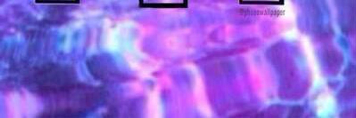 KletsinMs's profile banner image