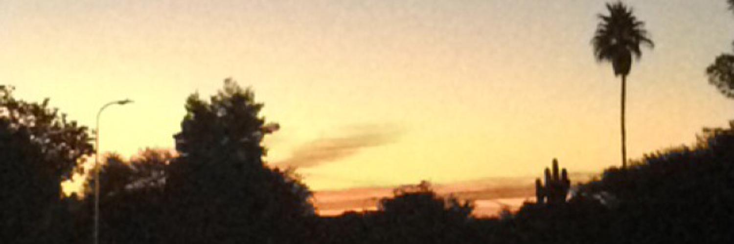 tamirovv's profile banner image