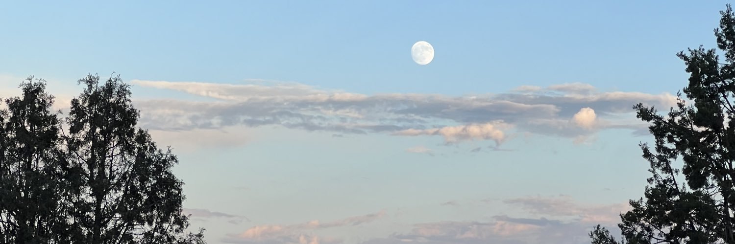 oliviaabroom's profile banner image