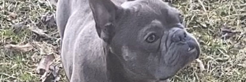 corey_finch's profile banner image