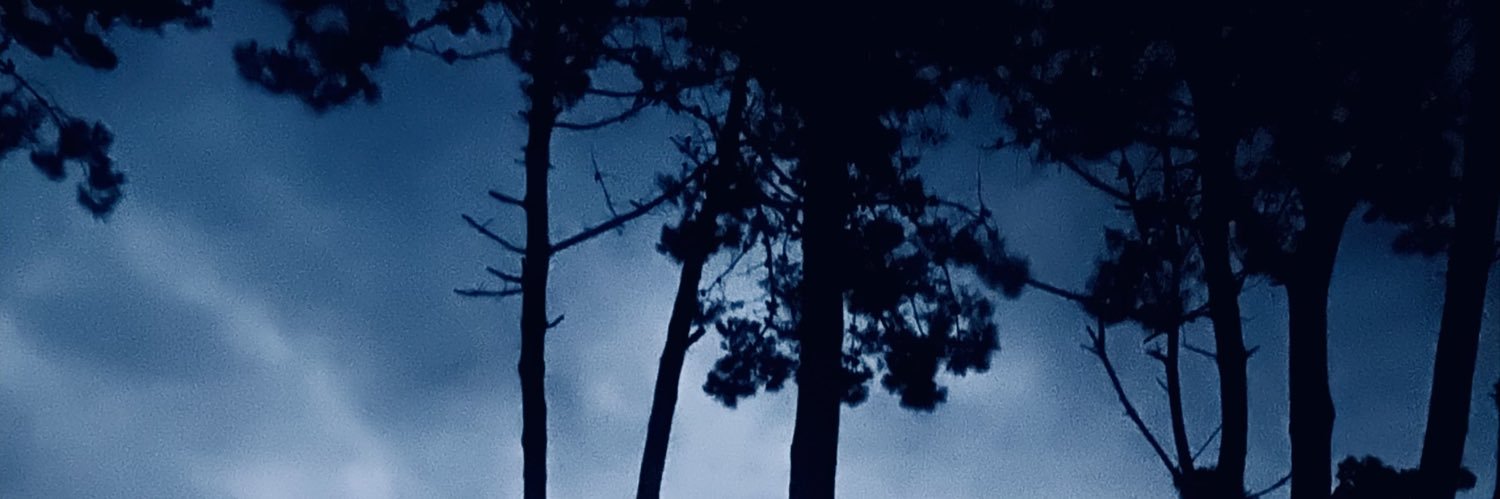 Gingerclsm's profile banner image