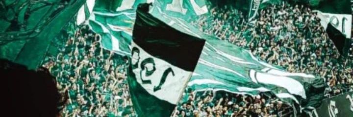 l_zermiani's profile banner image