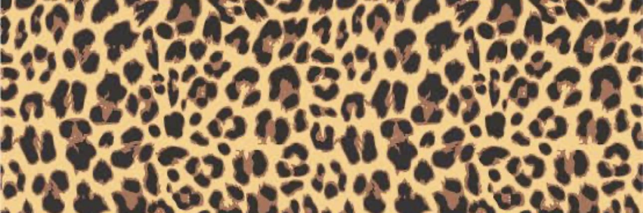 joyccefortunato's profile banner image