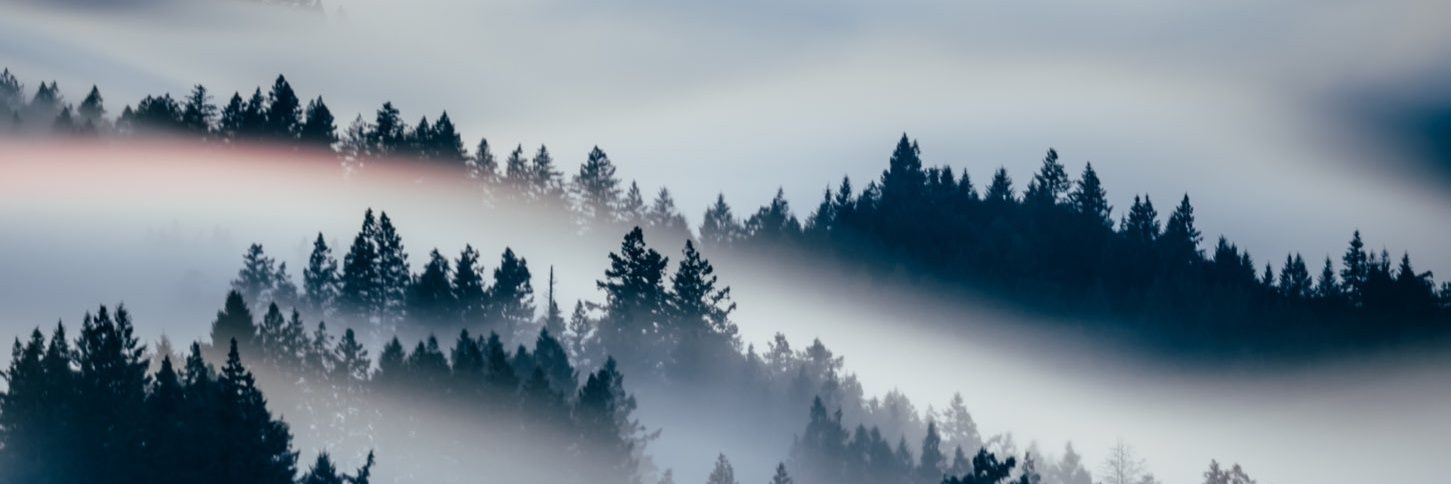 LiveZaain's profile banner image