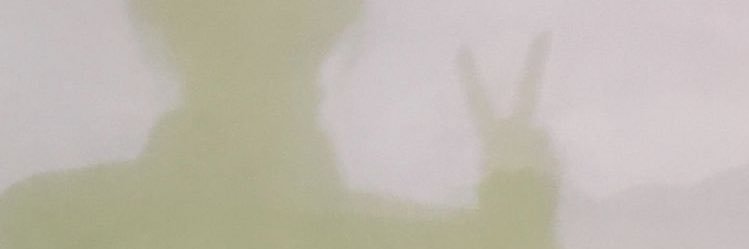 nula_tomo's profile banner image
