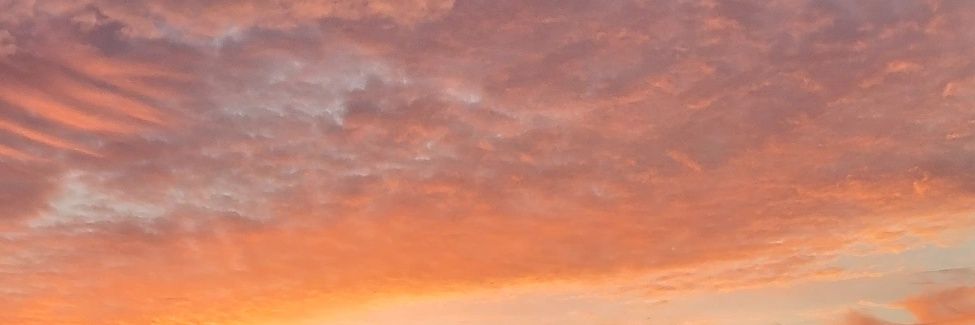 dandineon's profile banner image