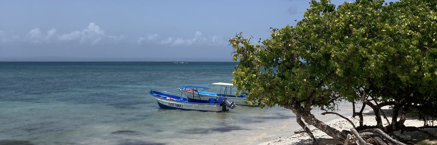 Vittoria Ballina aro 17 banner