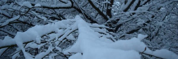 dragrubis Profile Banner