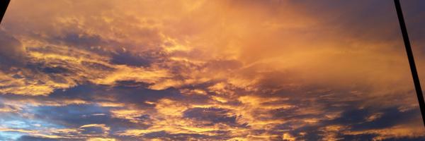 acamire Profile Banner