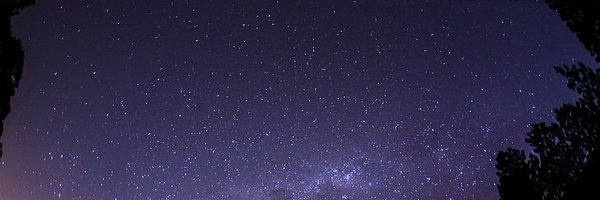 RealCryptoConor Profile Banner