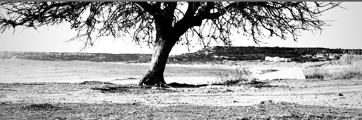 TRNECETRN's profile banner image
