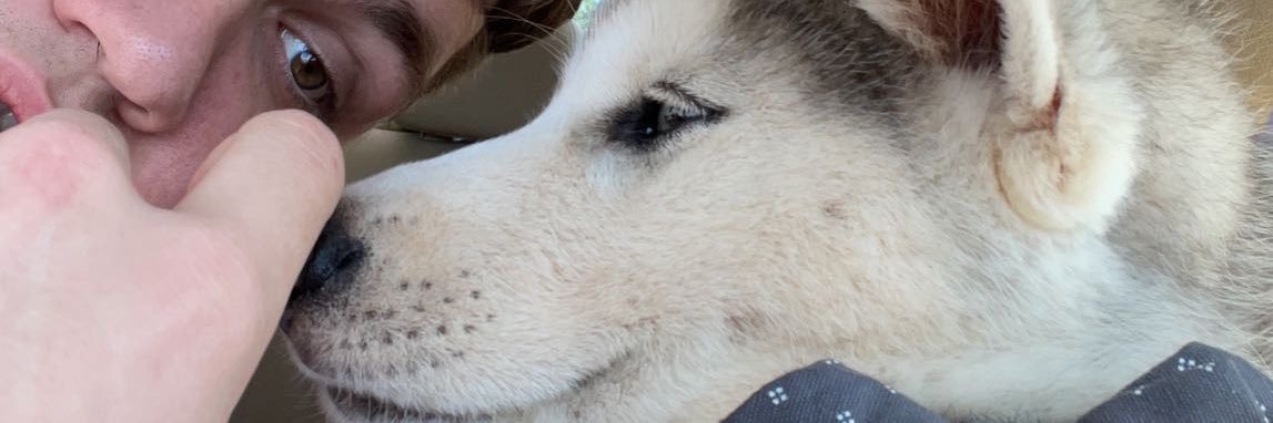 dylan_hilbert's profile banner image